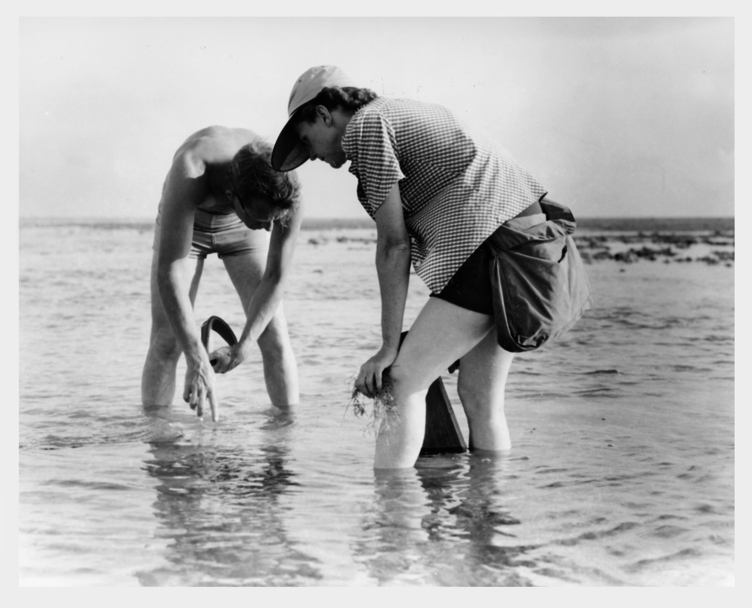 Rachel Carson and Bob Hines conduct marine biology research, 1952 - National Archives Identifier: 166694458
