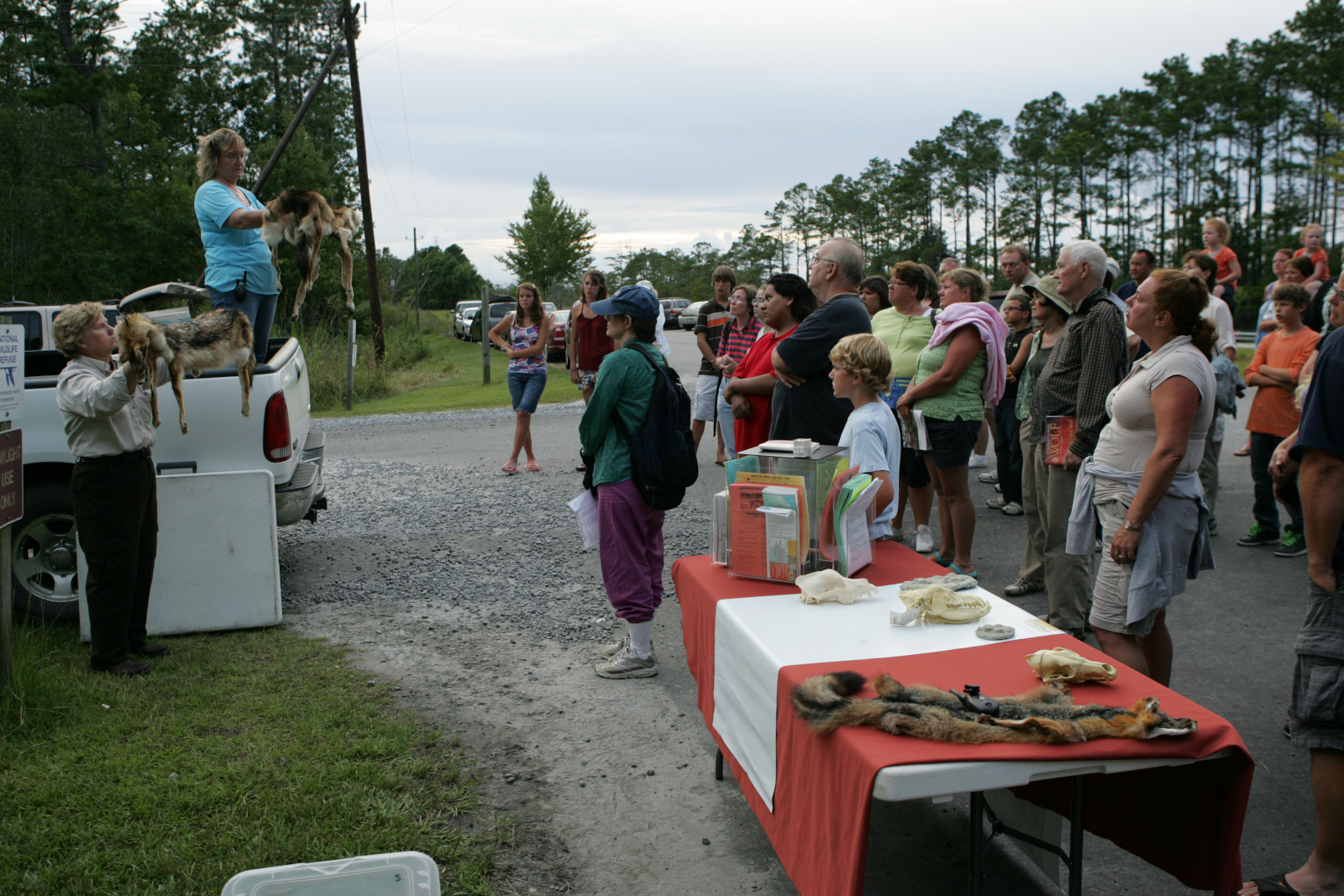 Fish and Wildlife outreach and education about the red wolf - National Archives Identifier: 166710254